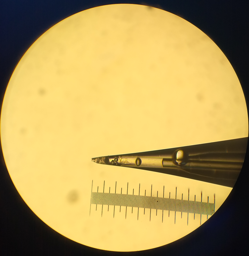 An etched capillary nested inside a glass spray tip