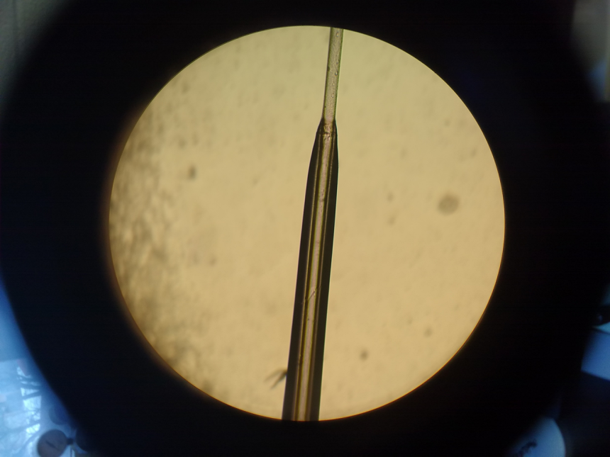 A fused silica capillary that has been etched down from 360 um to 60 um.